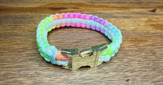 Ready to Ship – Handmade Rainbow Paracord Pet Collar (25cm)
